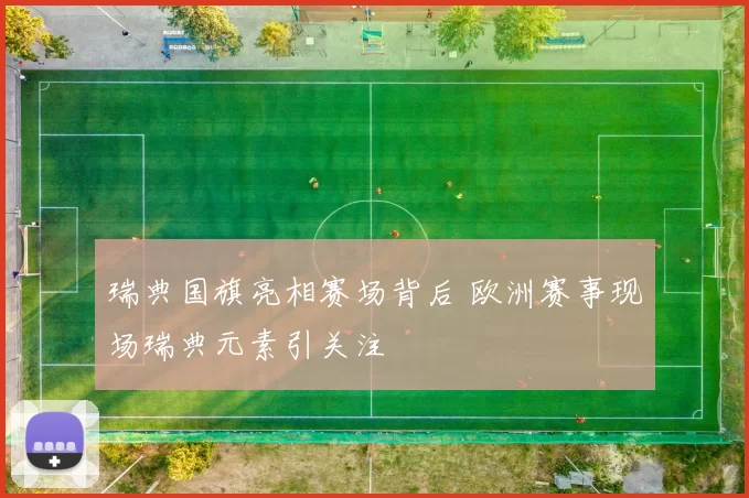 瑞典国旗亮相赛场背后 欧洲赛事现场瑞典元素引关注