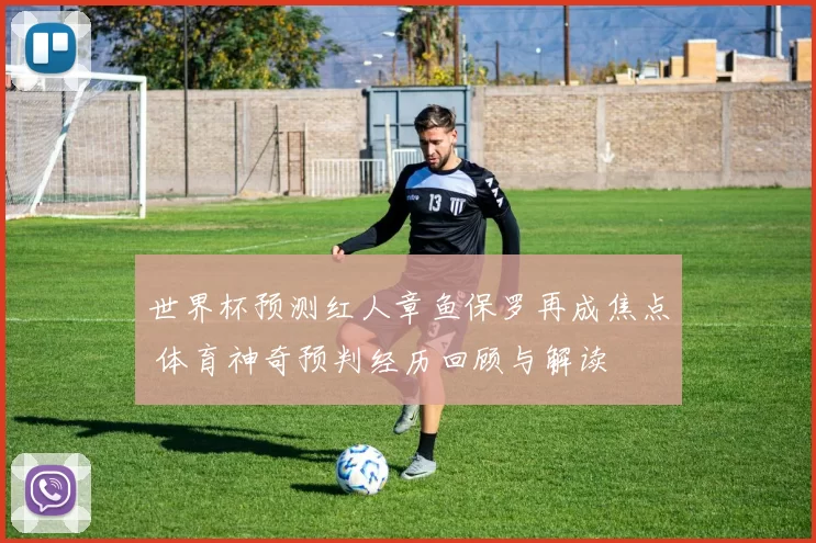 世界杯预测红人章鱼保罗再成焦点 体育神奇预判经历回顾与解读