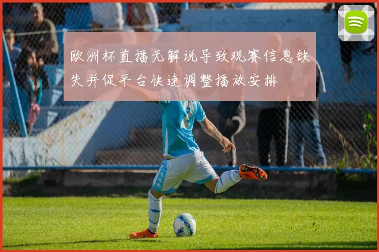 欧洲杯直播无解说导致观赛信息缺失并促平台快速调整播放安排