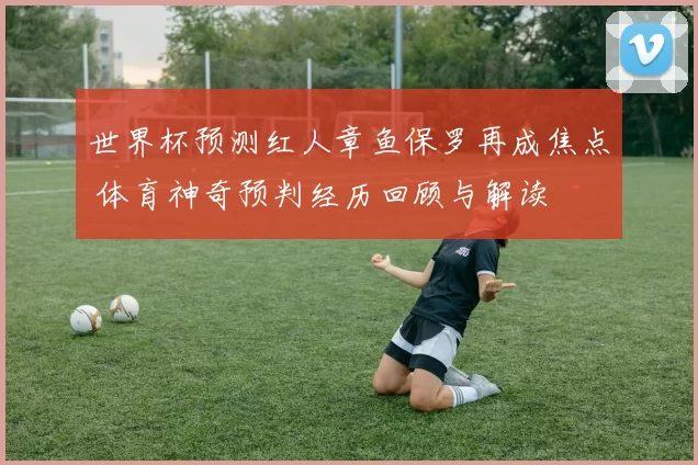 世界杯预测红人章鱼保罗再成焦点 体育神奇预判经历回顾与解读
